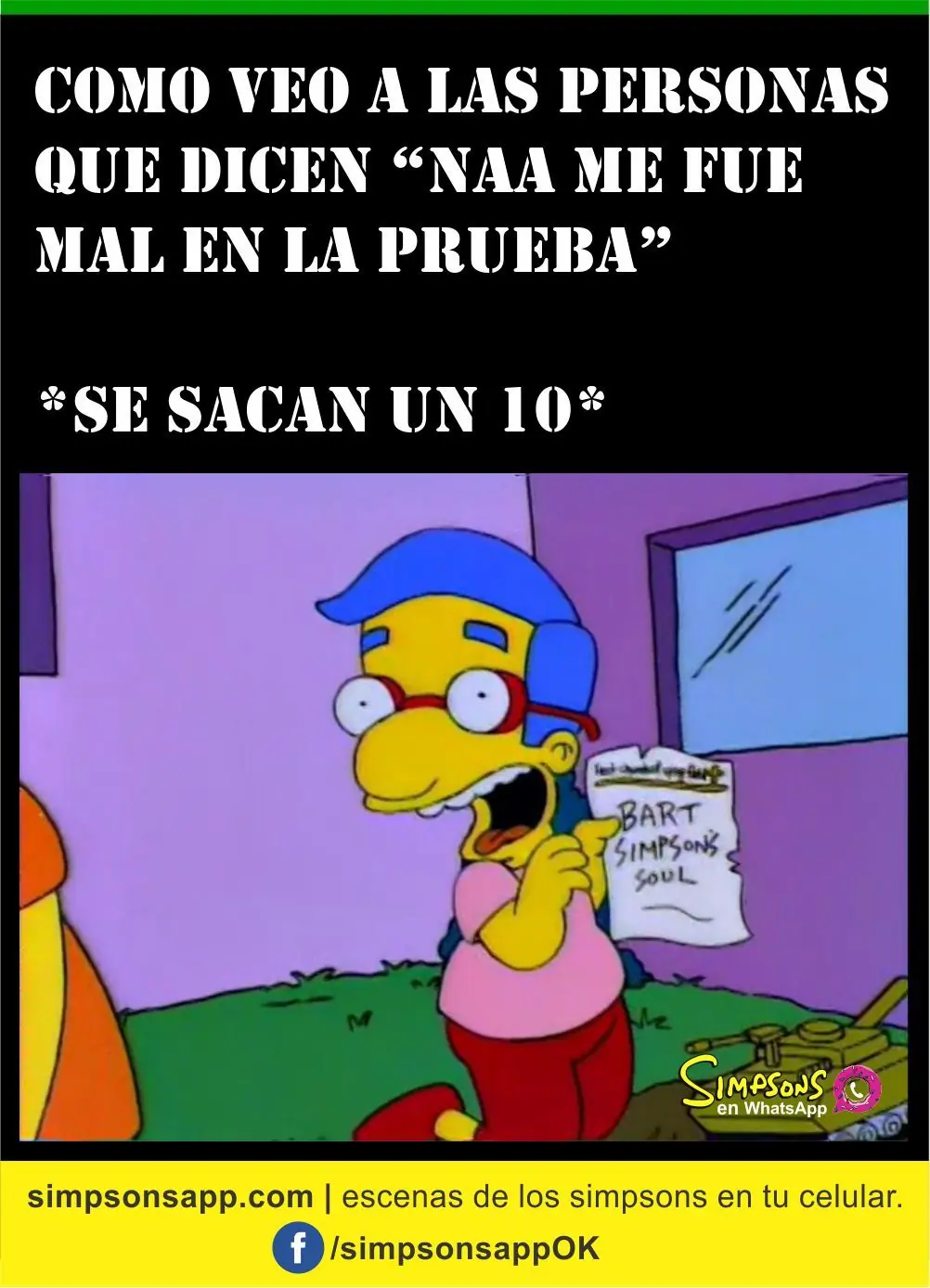 whatsapp whatsapp