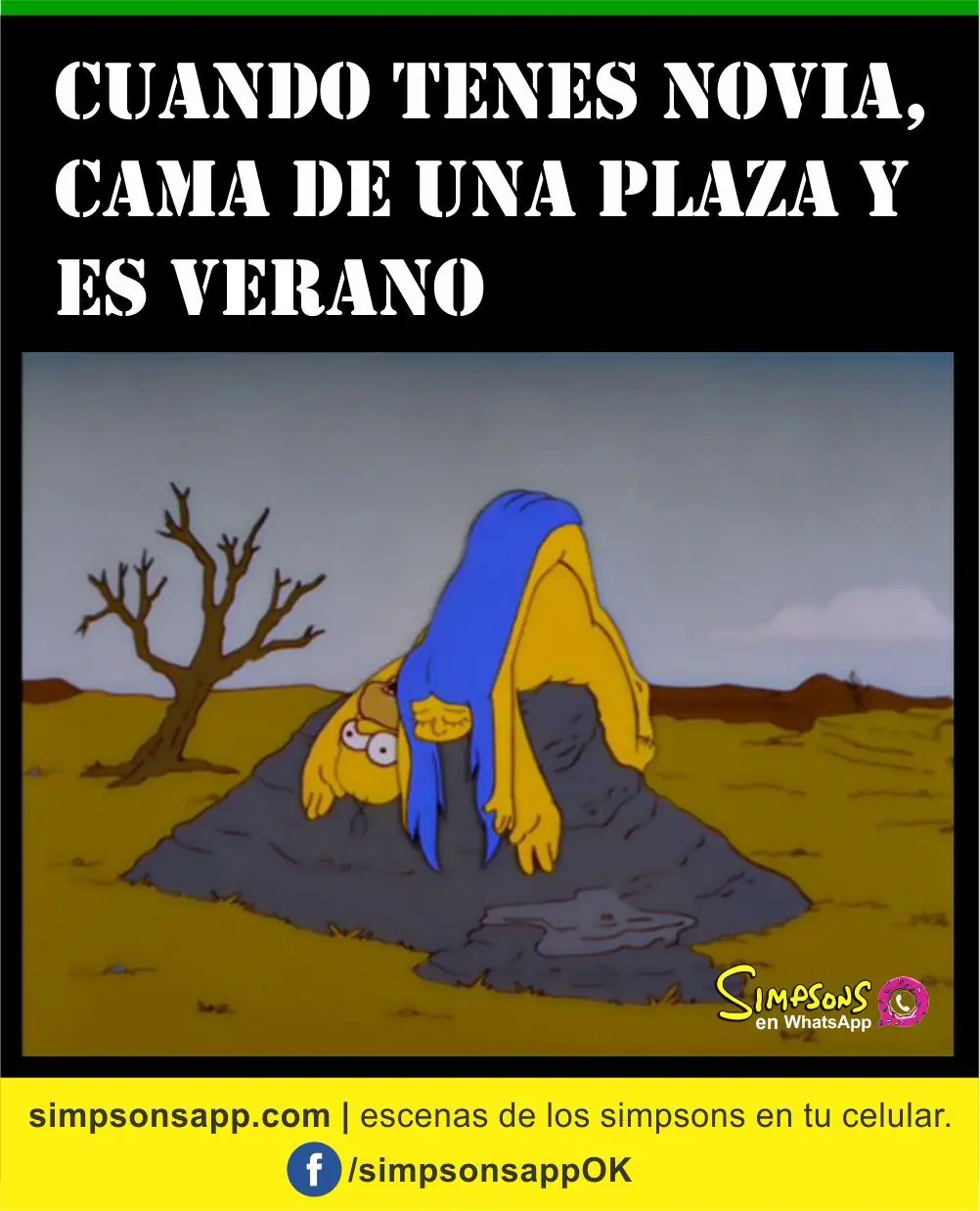 homero homero