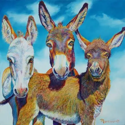 burro