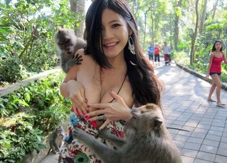 fotos