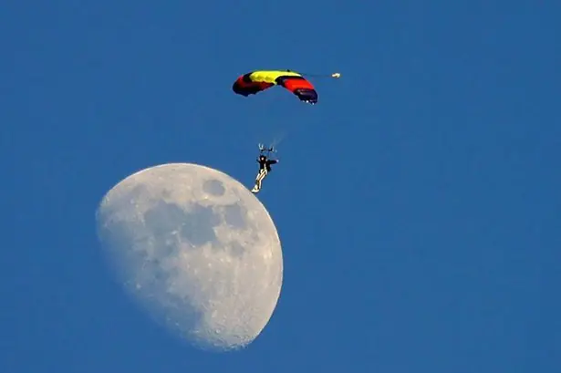 Fotos tomadas en el momento preciso ¡Te vas a divertir!