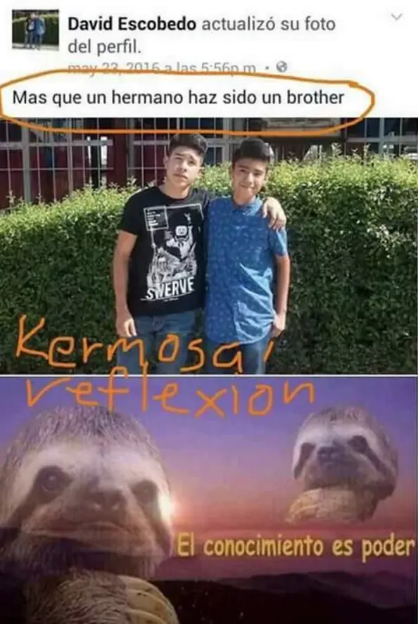22 Filosofos que entienden perfe