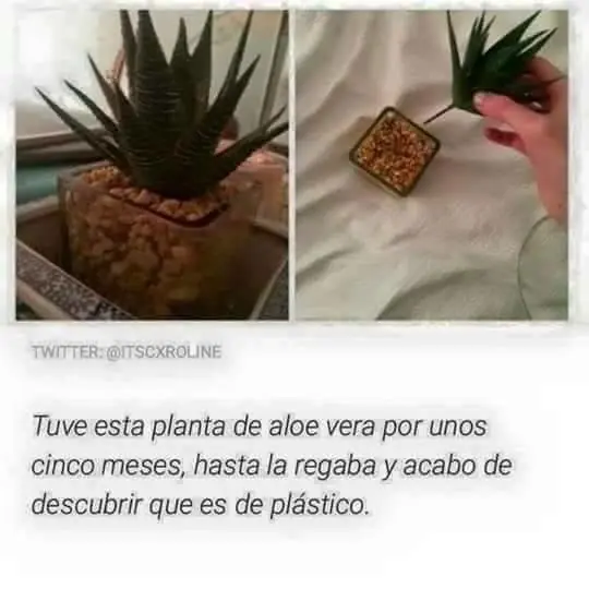 22 Filósofos que entienden perfecto la vida