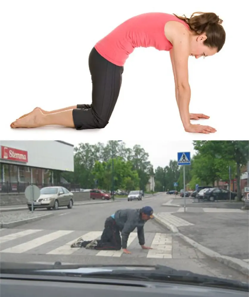borrachosutra