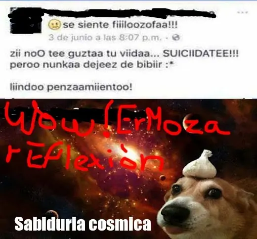 adultos