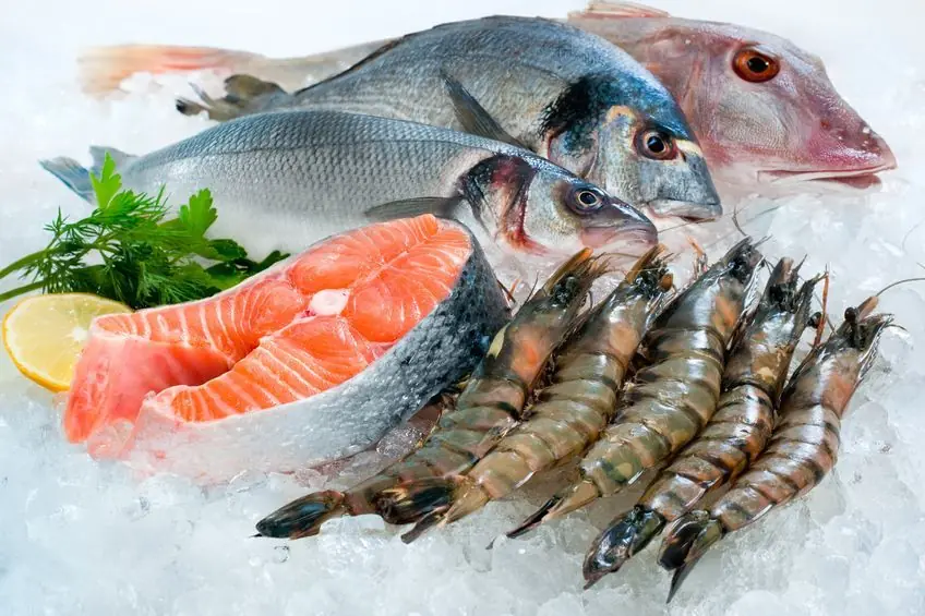 gastronomia gastronomia