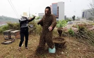 Un hombre chino llenó su cuerpo con 33 kg de abejas