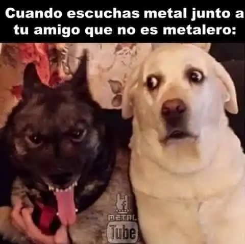HUMOR gracioso #4