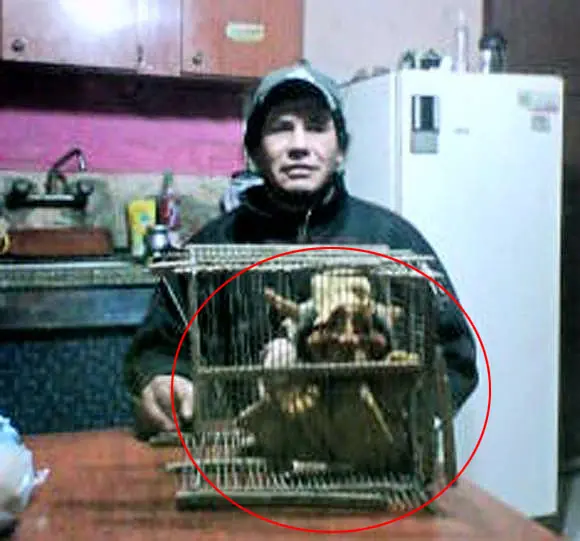 el increible caso del hombre que asegura haber atrapado un