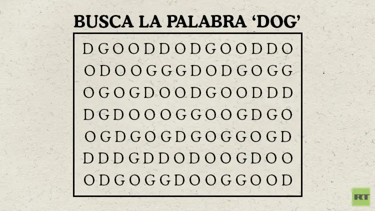letras
