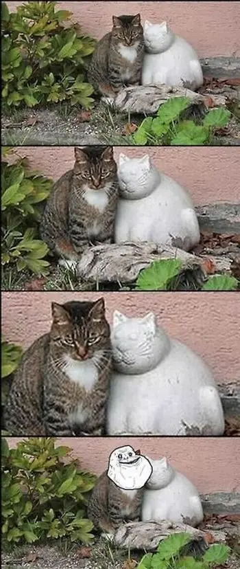 Memes e imagenes graciosas (parte 6)