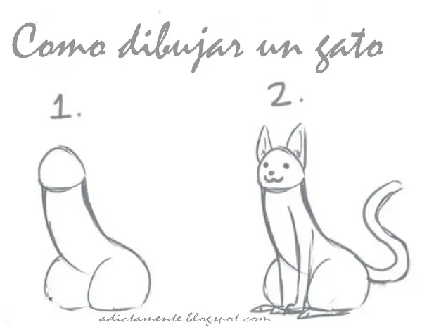 imagenes divertidas