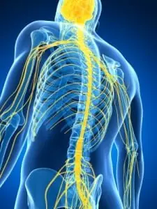 Diferencia entre neurólogo y psiquiatra