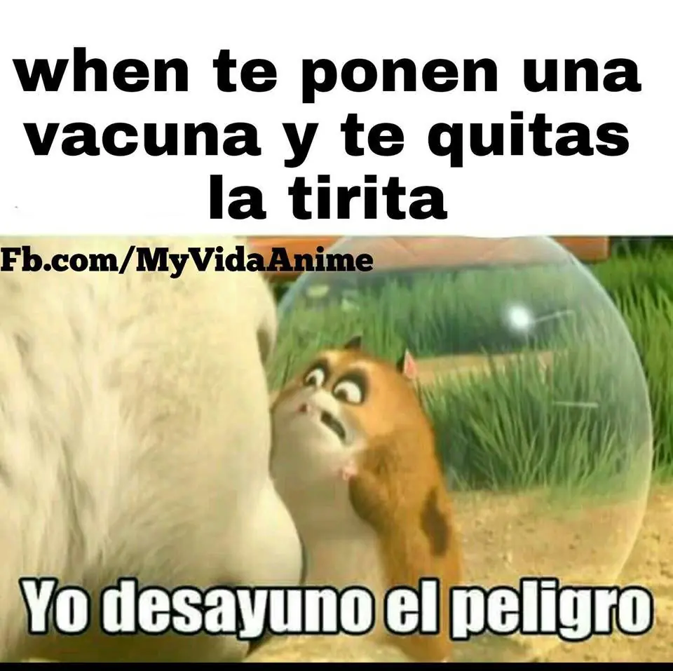 imagenes de humor