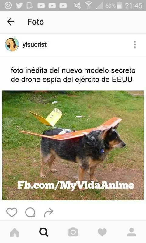 Humor de noche, fotos WTF