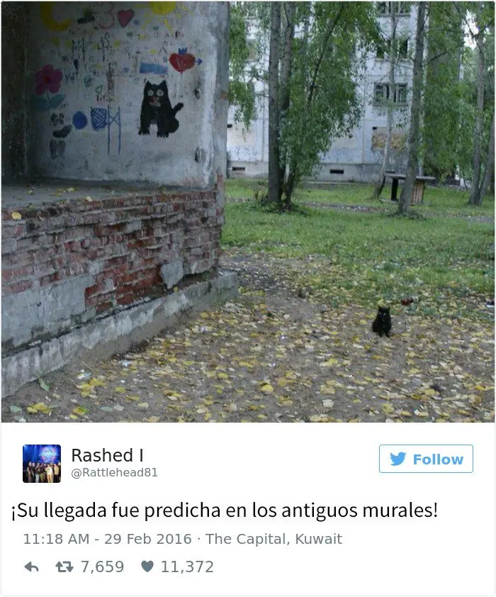 humor de noche