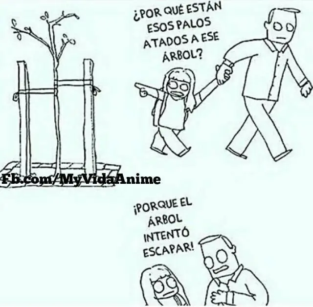fotos de humor