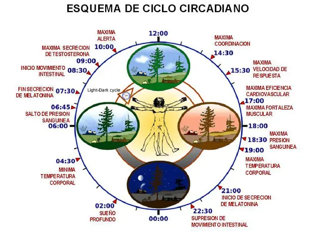 Mitos increibles sobre el sueño que tal vez no conocías.
