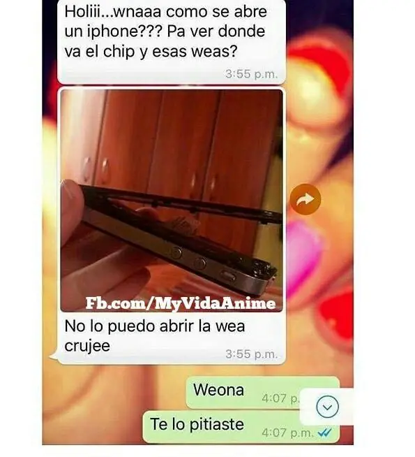 fotos wtf