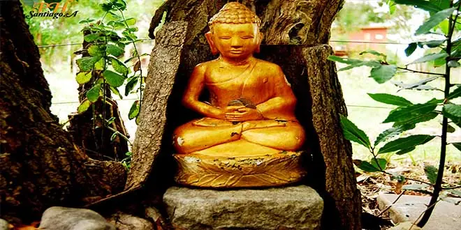 buda