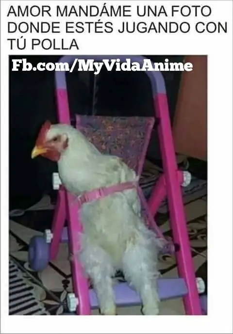 humor de noche