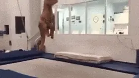dinosaurio rex