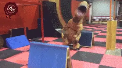 trex