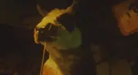 fantasmas fantasmas