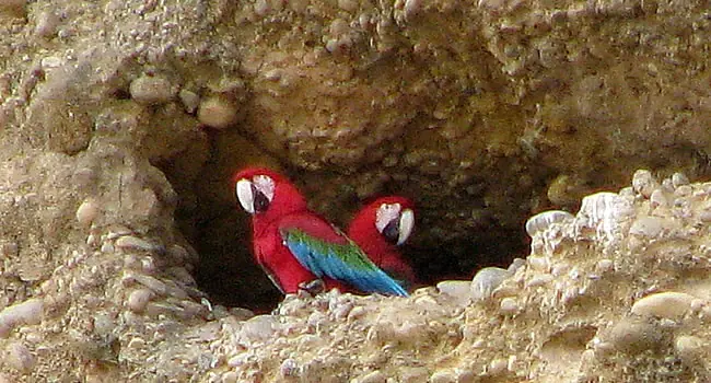 bolivia bolivia