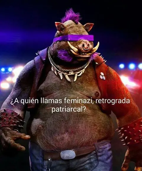 memes
