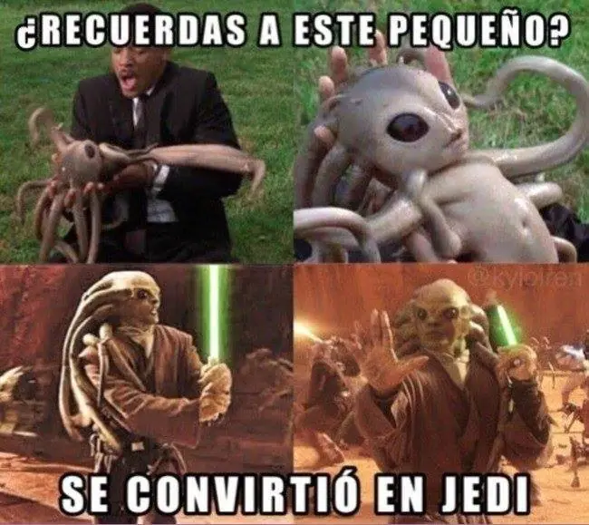 conestas