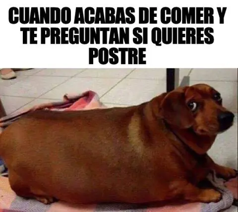 humor