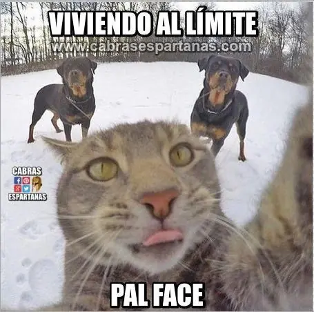 divertirse