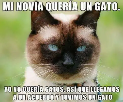 sino
