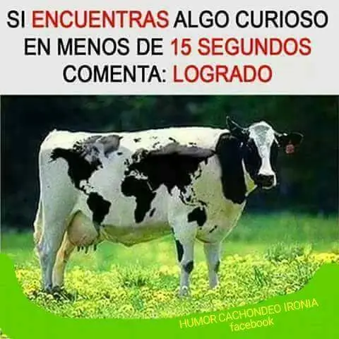denuncia