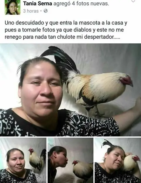 Imágenes de humor nocturno Parte- 127