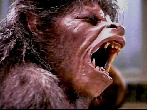 Las 10 peliculas mas bizarras de todos los tiempos