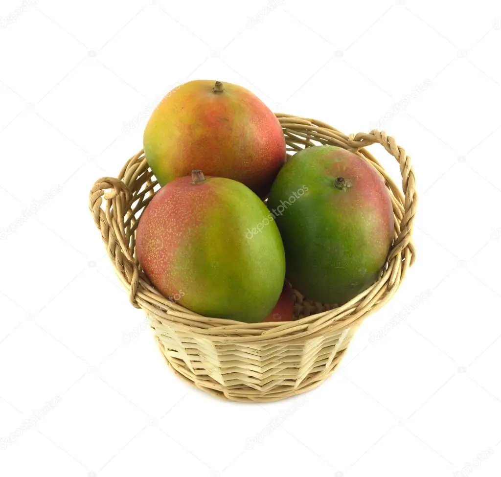 arbol de mango