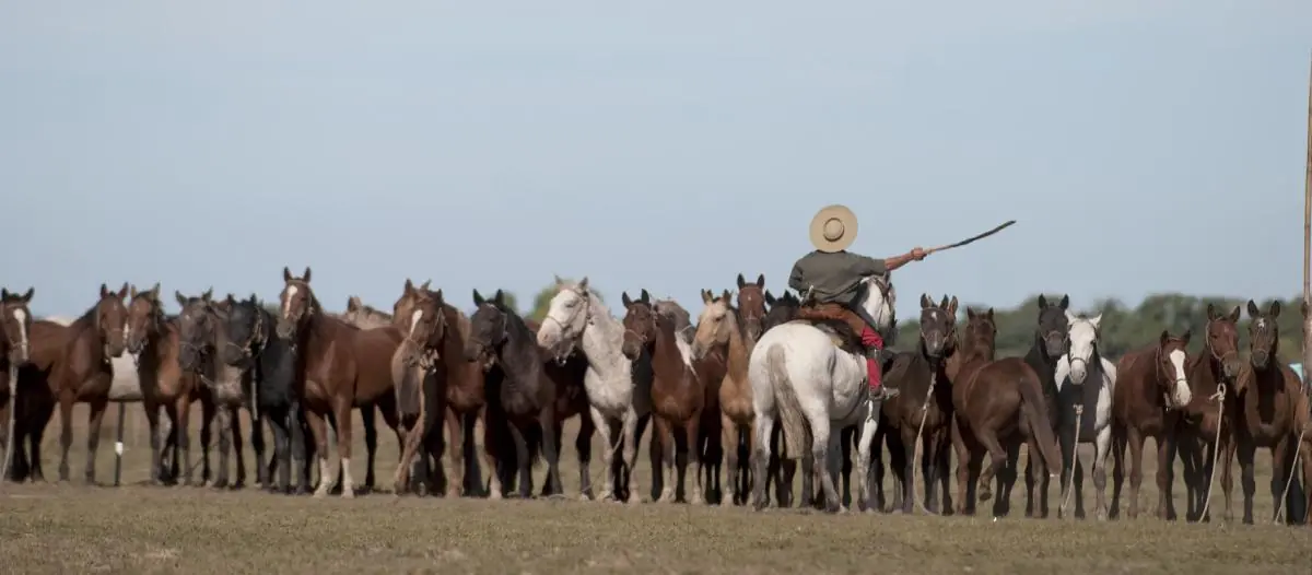 Gauchos correntinos