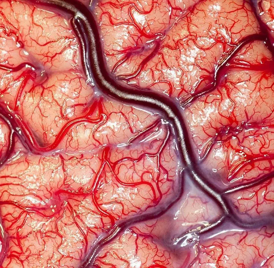 ciencia y tecnologia