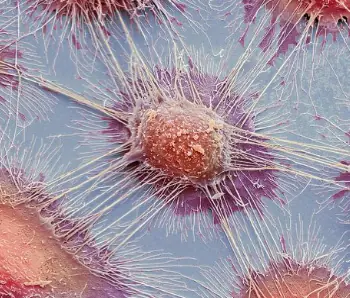 ciencia y tecnologia