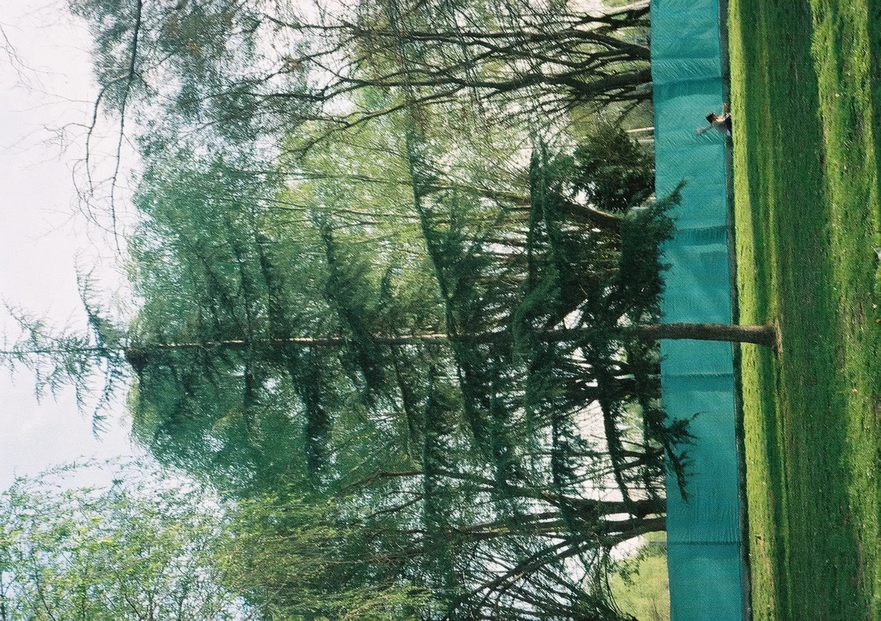 fotografia analogica