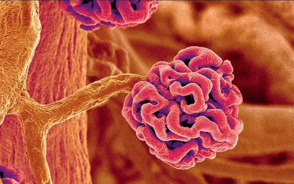 ciencia y educacion