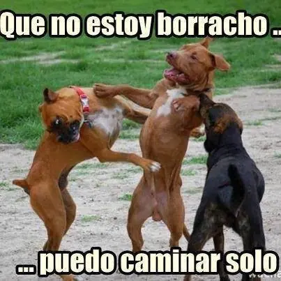 imagenes