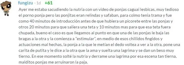 comentario taringuero
