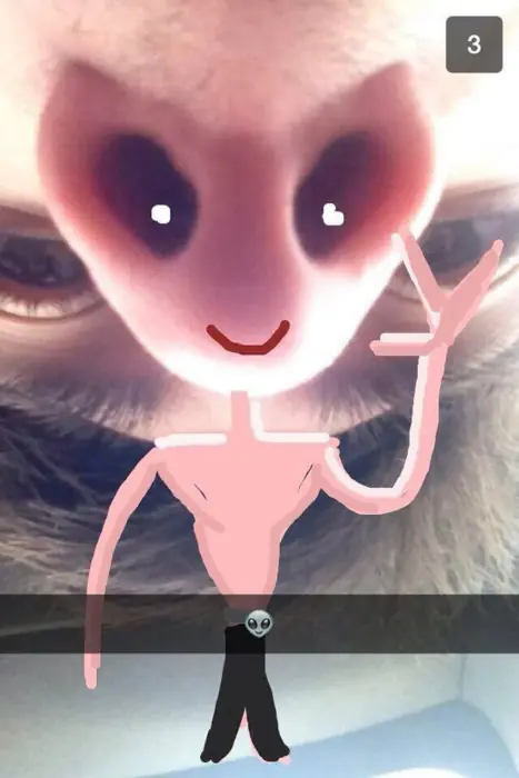 Snapchats