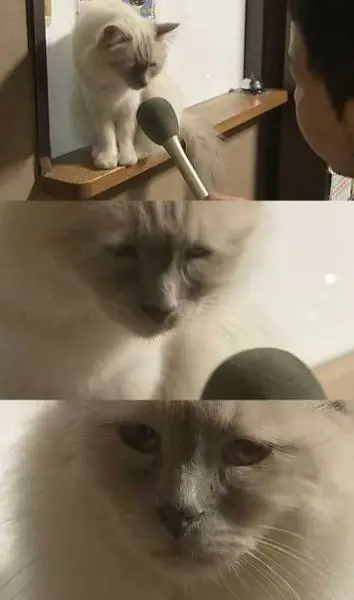 imagenes de humor