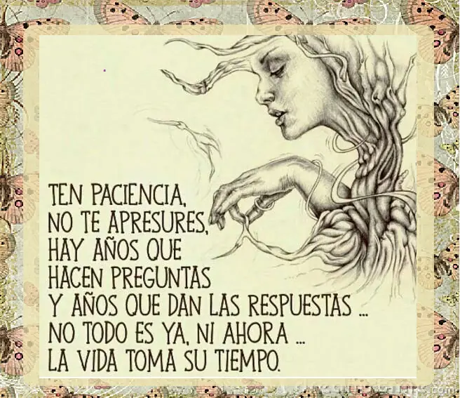 positivismo positivismo