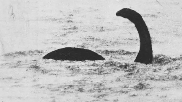 nessie 2016