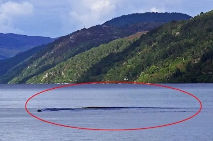 nessie